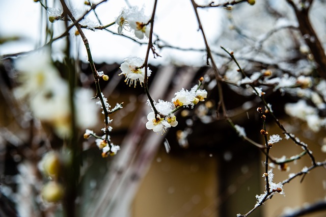 键环节上略