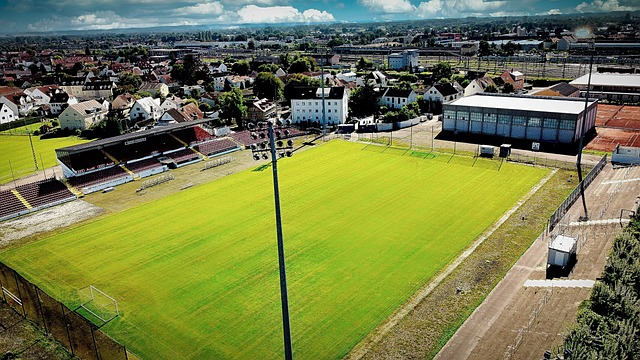 活的比赛策 活的比赛策