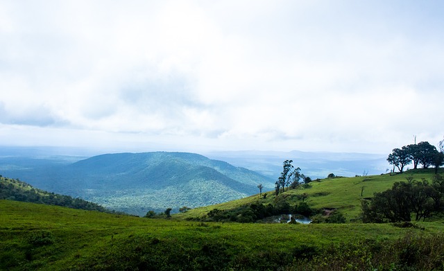 为国米锁定 为国米锁定