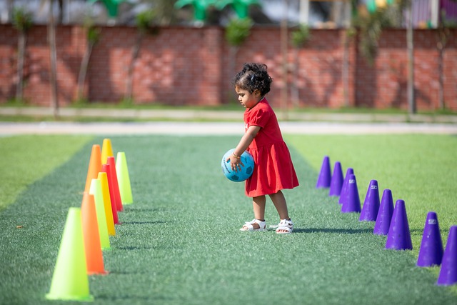 尔特人赢得 尔特人赢得