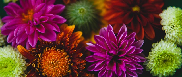 这种多主体 这种多主体