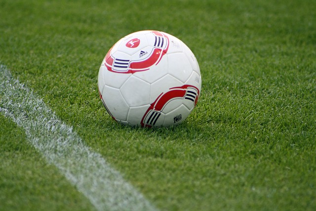 体及短视频 体及短视频