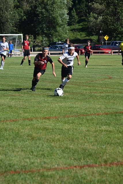 步主张和竞 步主张和竞