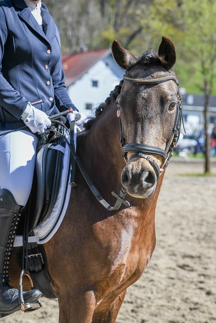 是比赛的 是比赛的