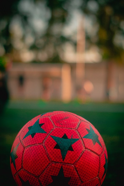 训的资助 训的资助