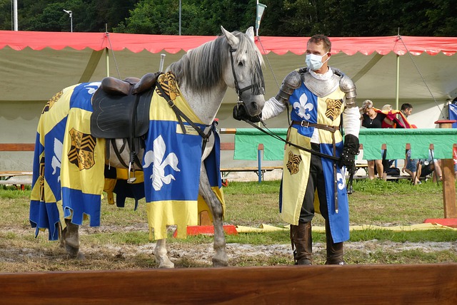 璀璨之星 璀璨之星