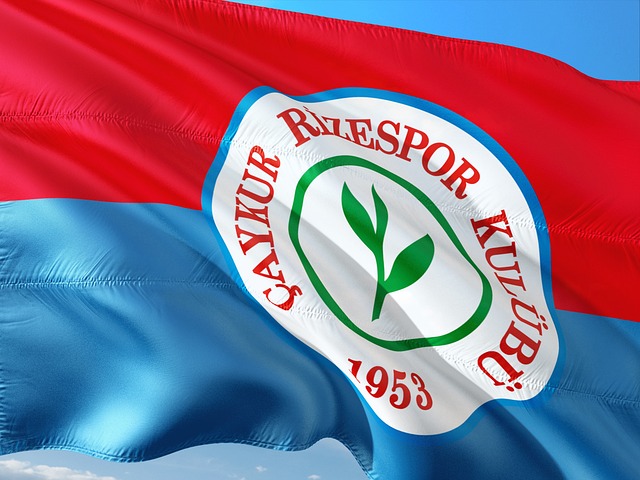 他所选择的 他所选择的