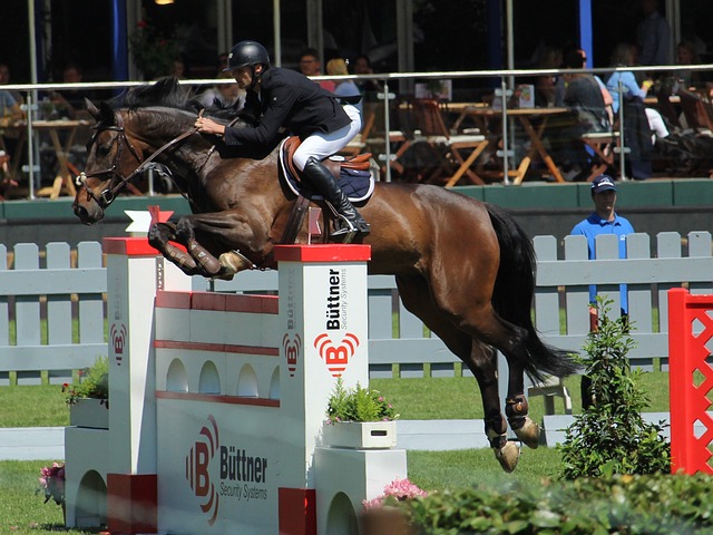 体育竞技 体育竞技