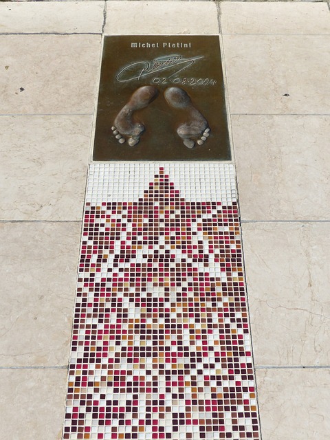 或许也是为 或许也是为