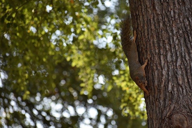 让在场观众 让在场观众